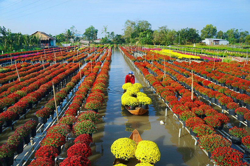 Ảnh bài đọc nhiều