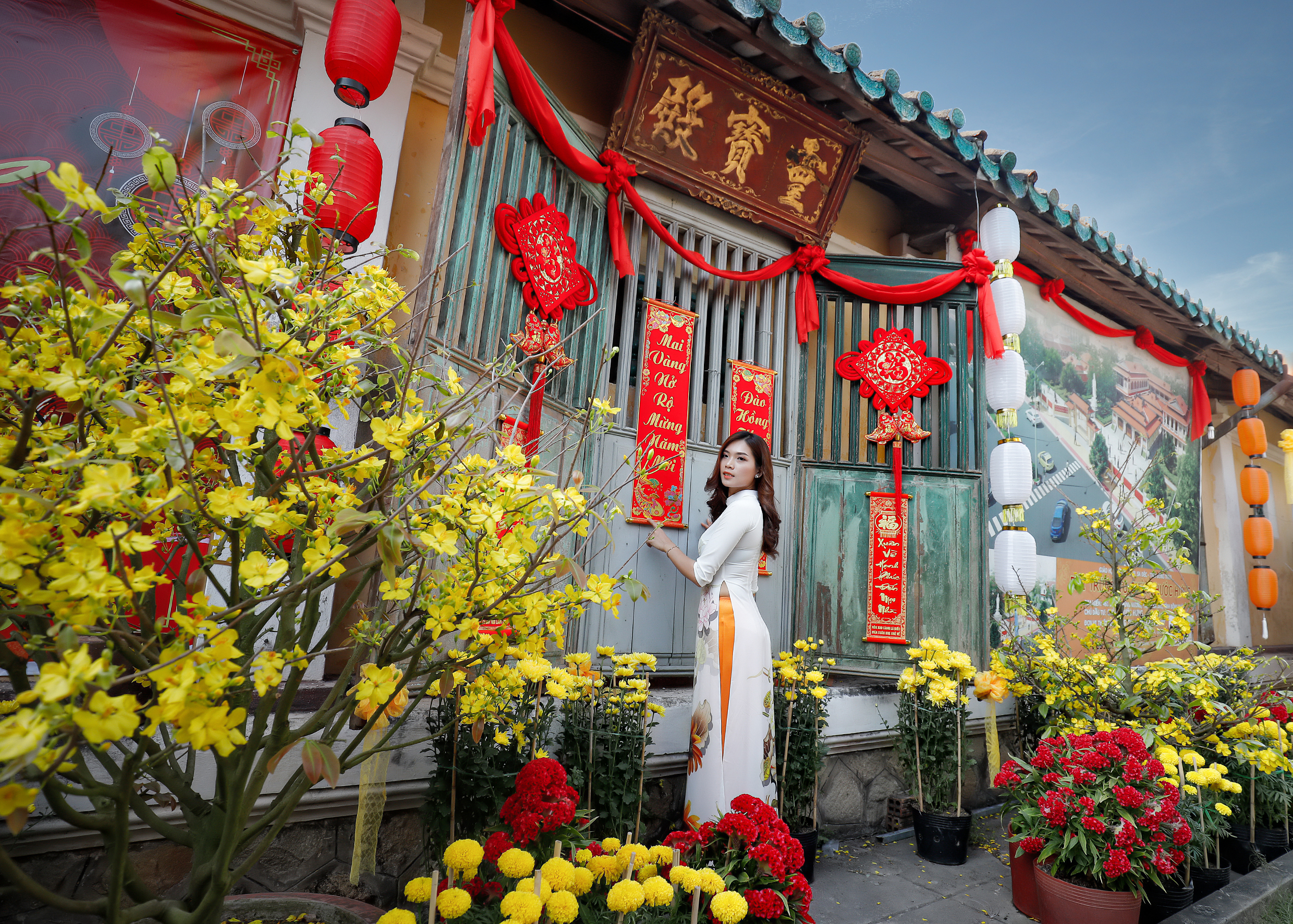 Một góc xuân chùa Phước Hưng