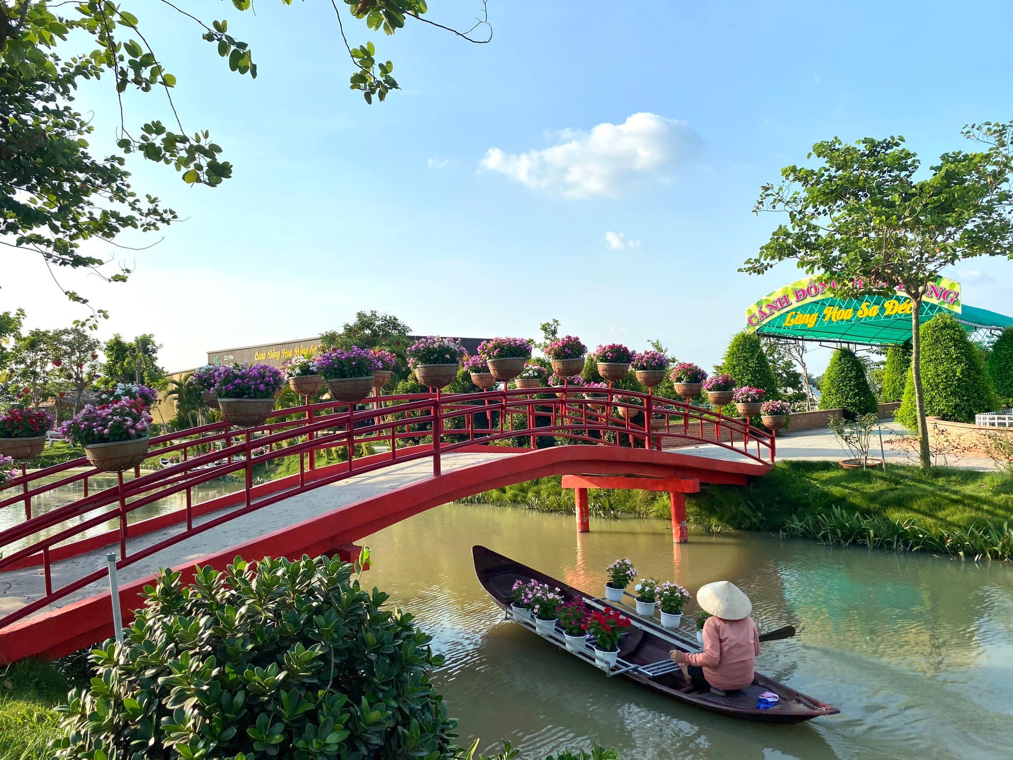 Cánh Đồng Hoa Hồng – Đậm Dấu Ấn Một Miền Quê